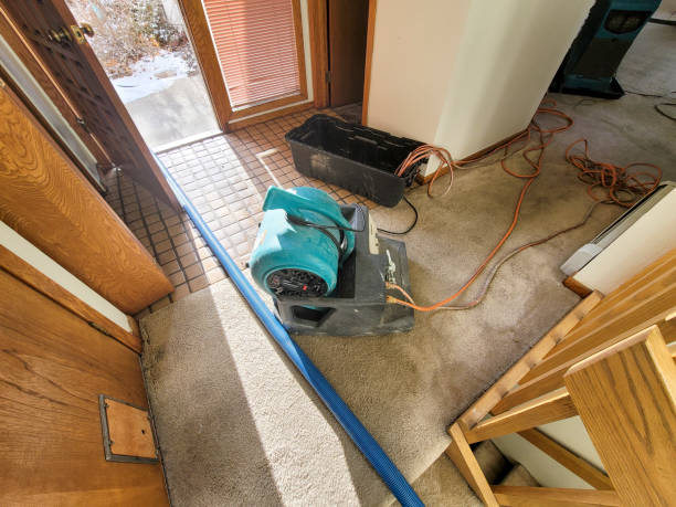 Best Water damage cleanup near me  in Anchorage, AK
