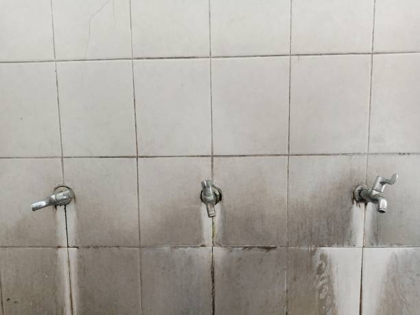 Best Water damage restoration services  in Anchorage, AK