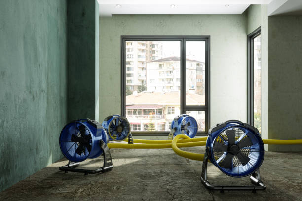 Best Emergency water damage restoration  in Anchorage, AK